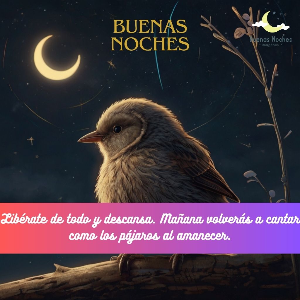 Imagenes de buenas noches con pajaros 14