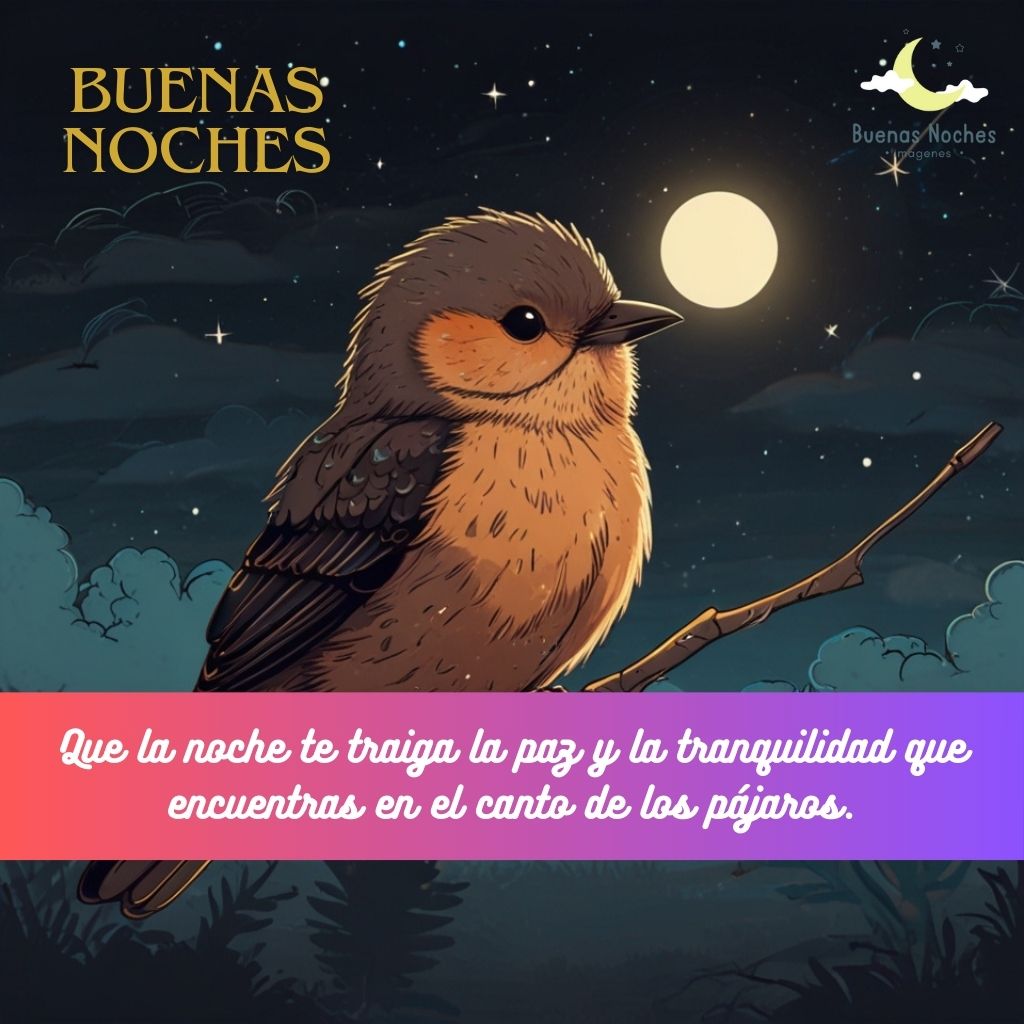 Imagenes de buenas noches con pajaros 15