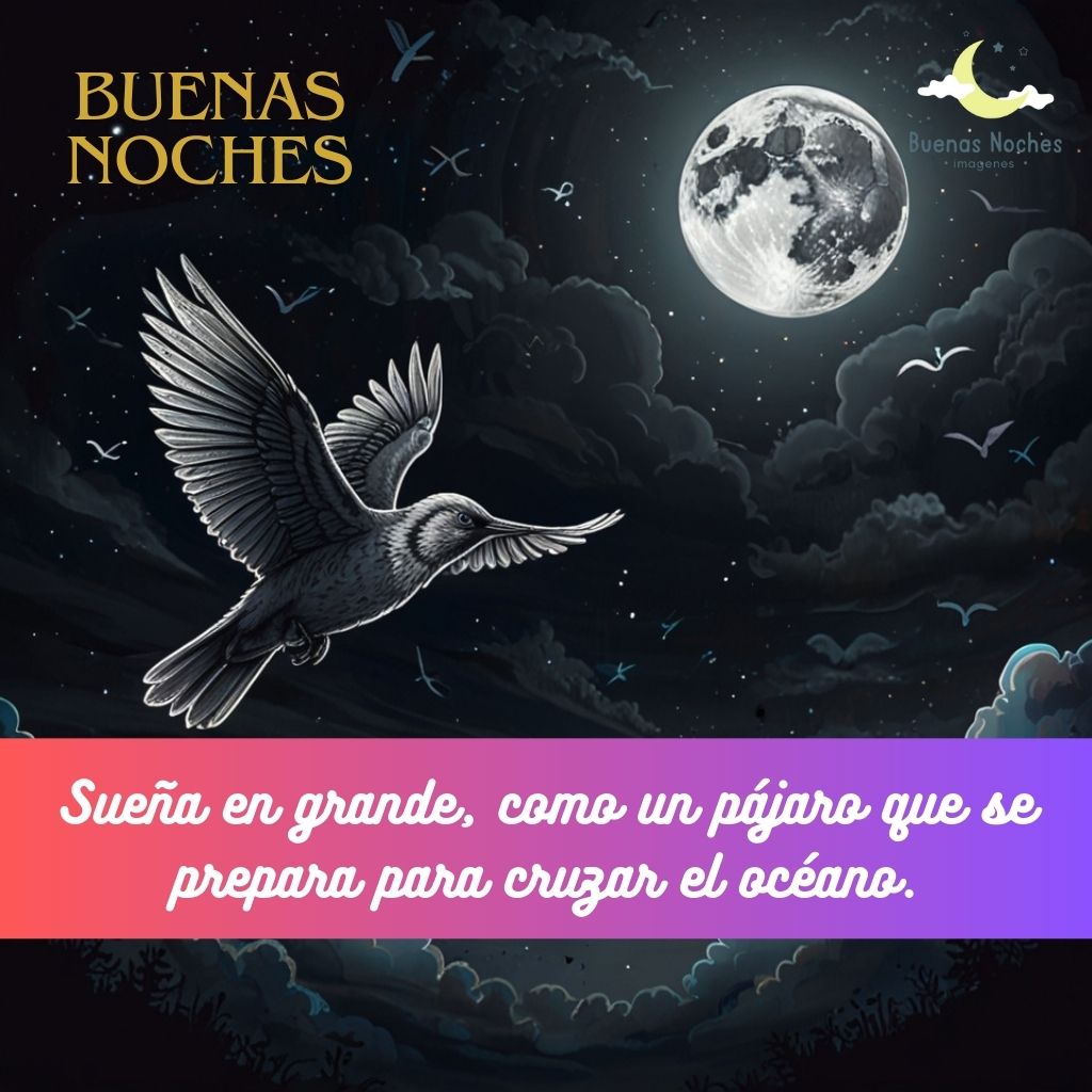 Imagenes de buenas noches con pajaros 16