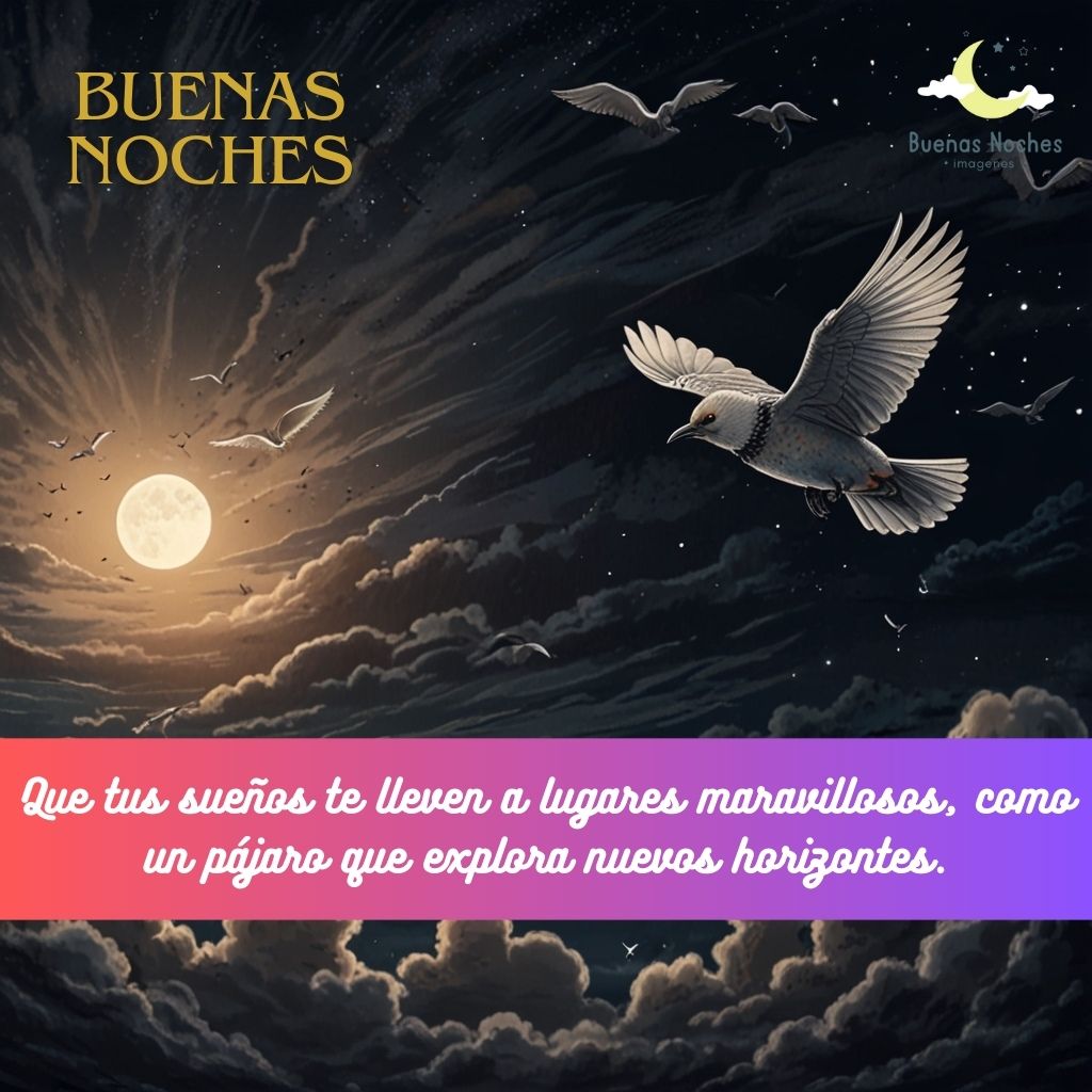 Imagenes de buenas noches con pajaros 17