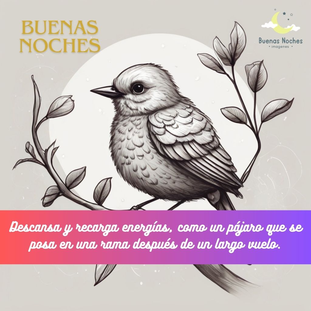 Imagenes de buenas noches con pajaros 18