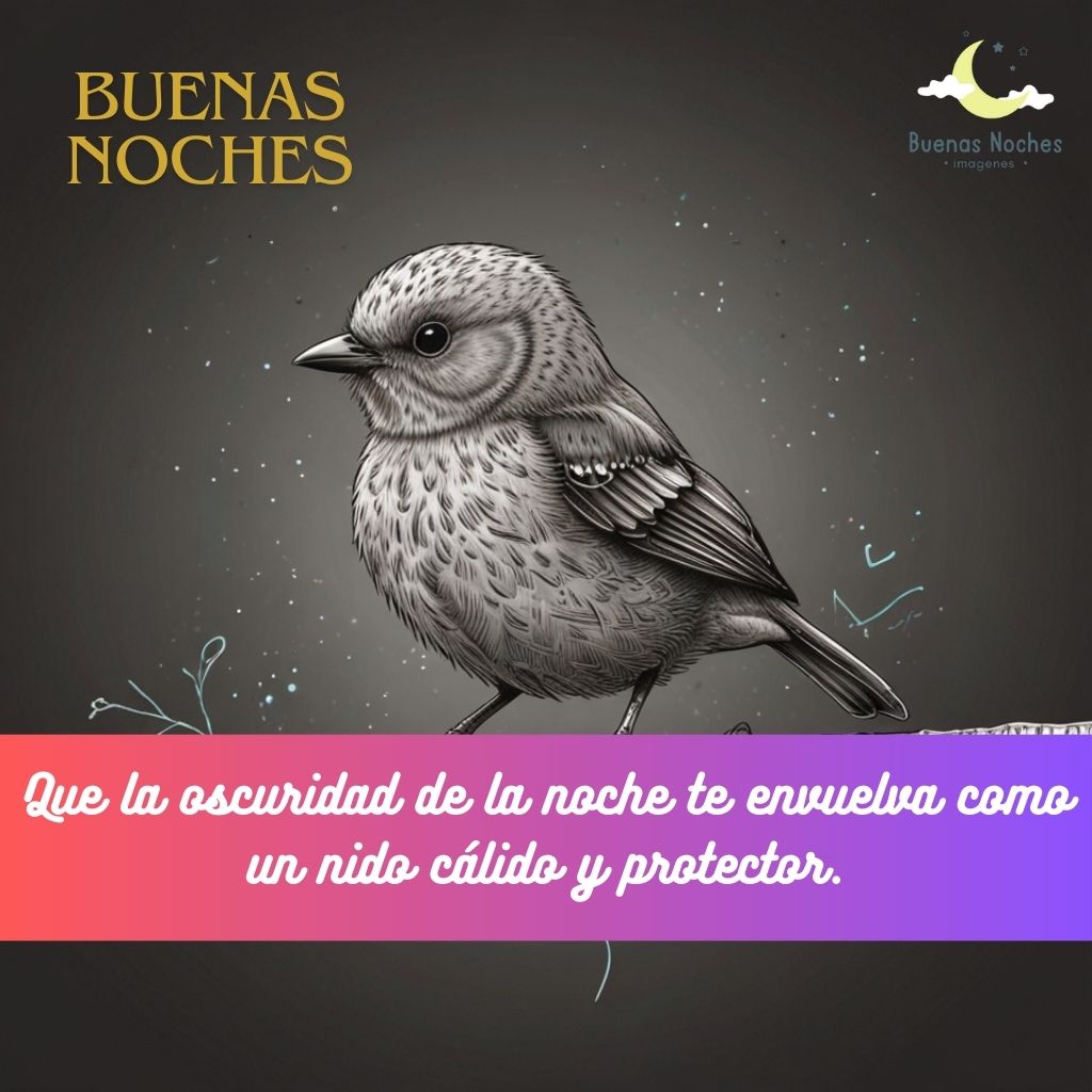 Imagenes de buenas noches con pajaros 19