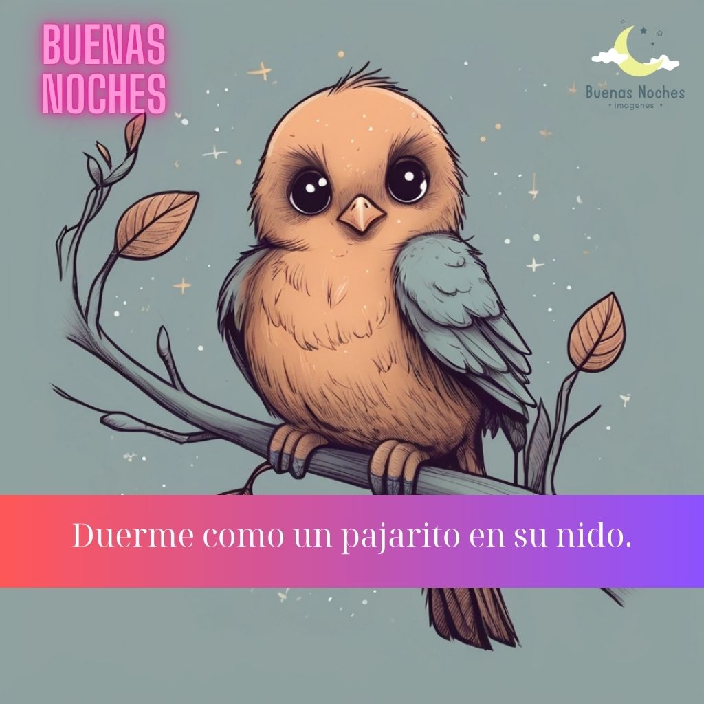 Imagenes de buenas noches con pajaros 2