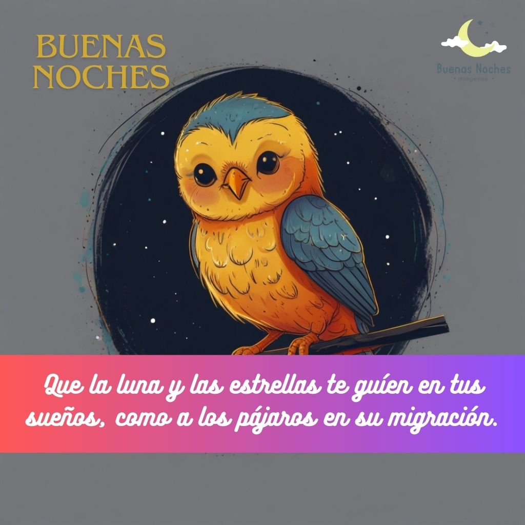 Imagenes de buenas noches con pajaros 21