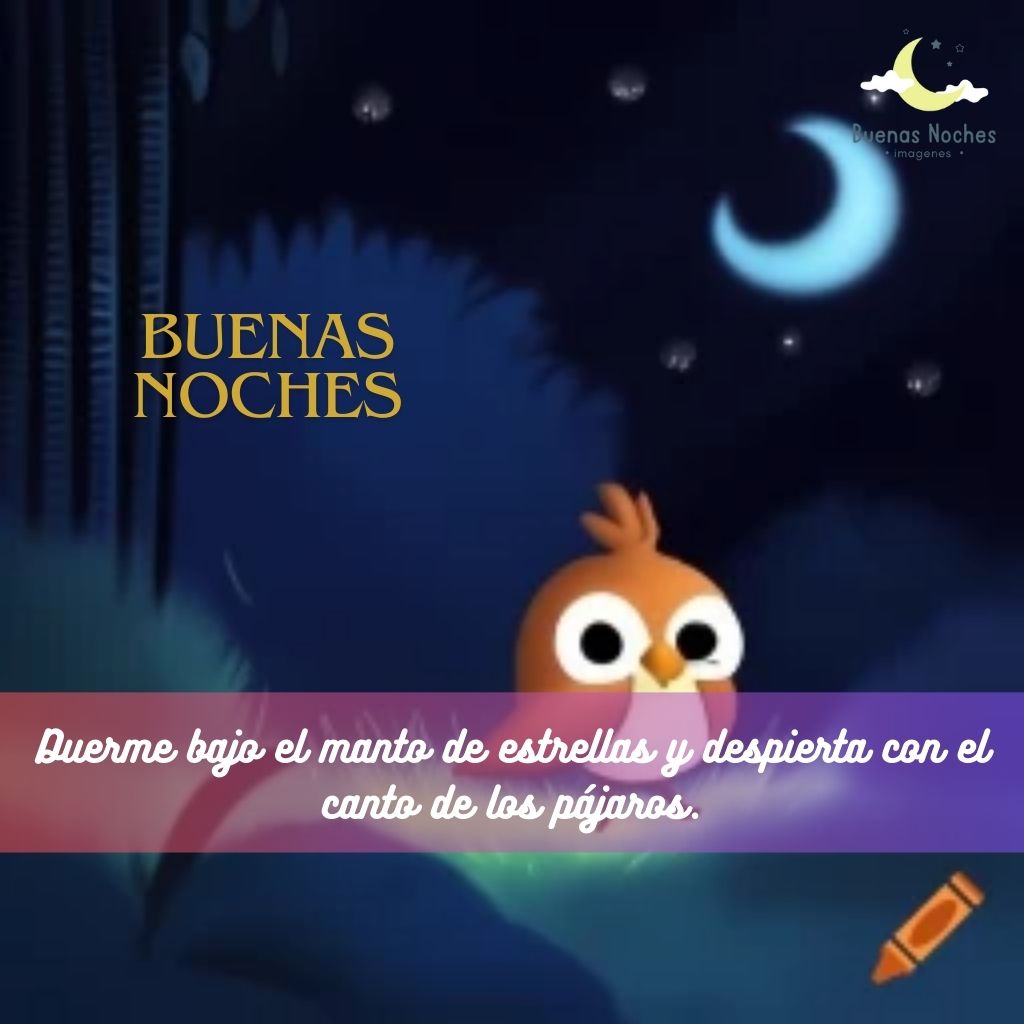 Imagenes de buenas noches con pajaros 22