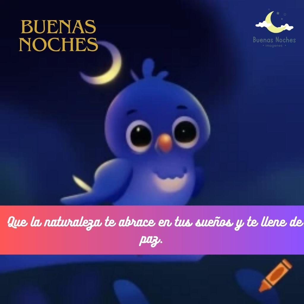 Imagenes de buenas noches con pajaros 24