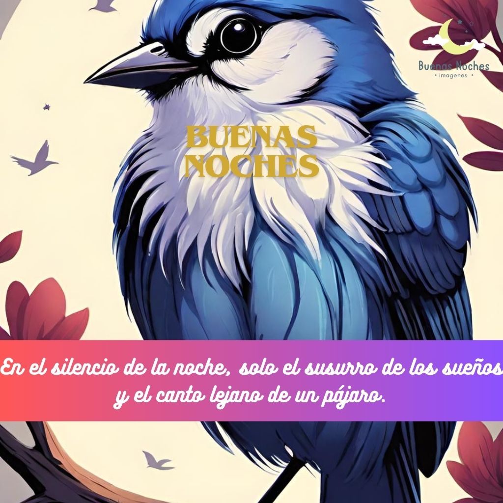 Imagenes de buenas noches con pajaros 25