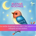 Imagenes de buenas noches con pajaros 26