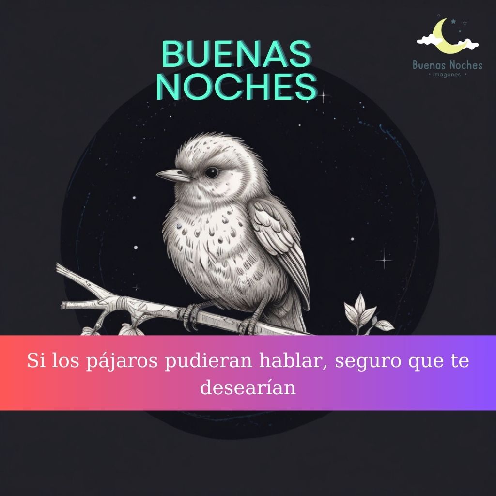 Imagenes de buenas noches con pajaros 29