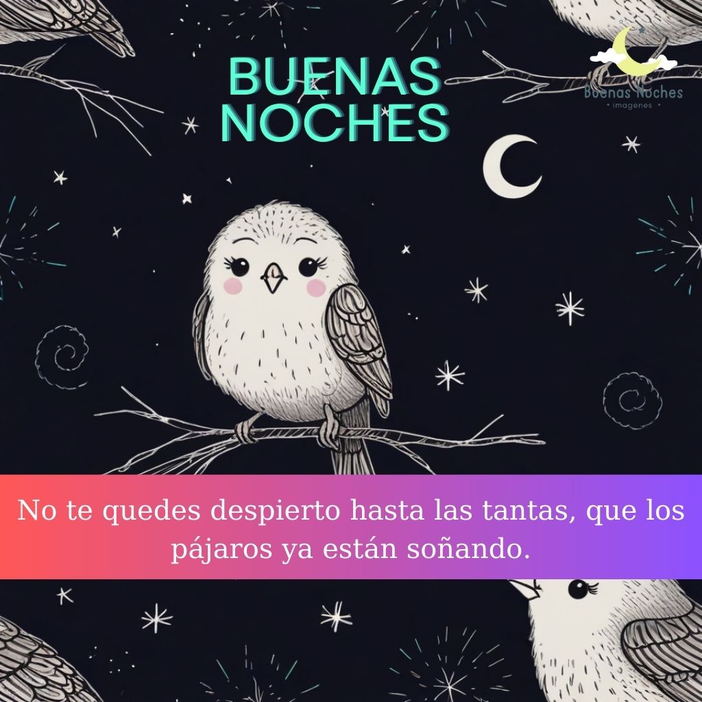 Imagenes de buenas noches con pajaros 30