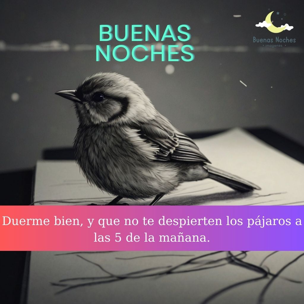 Imagenes de buenas noches con pajaros 32