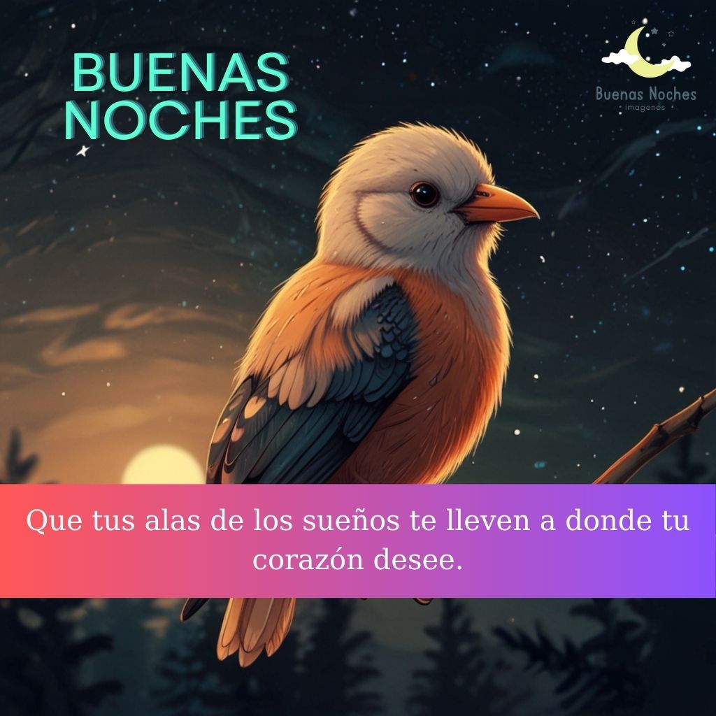 Imagenes de buenas noches con pajaros 33