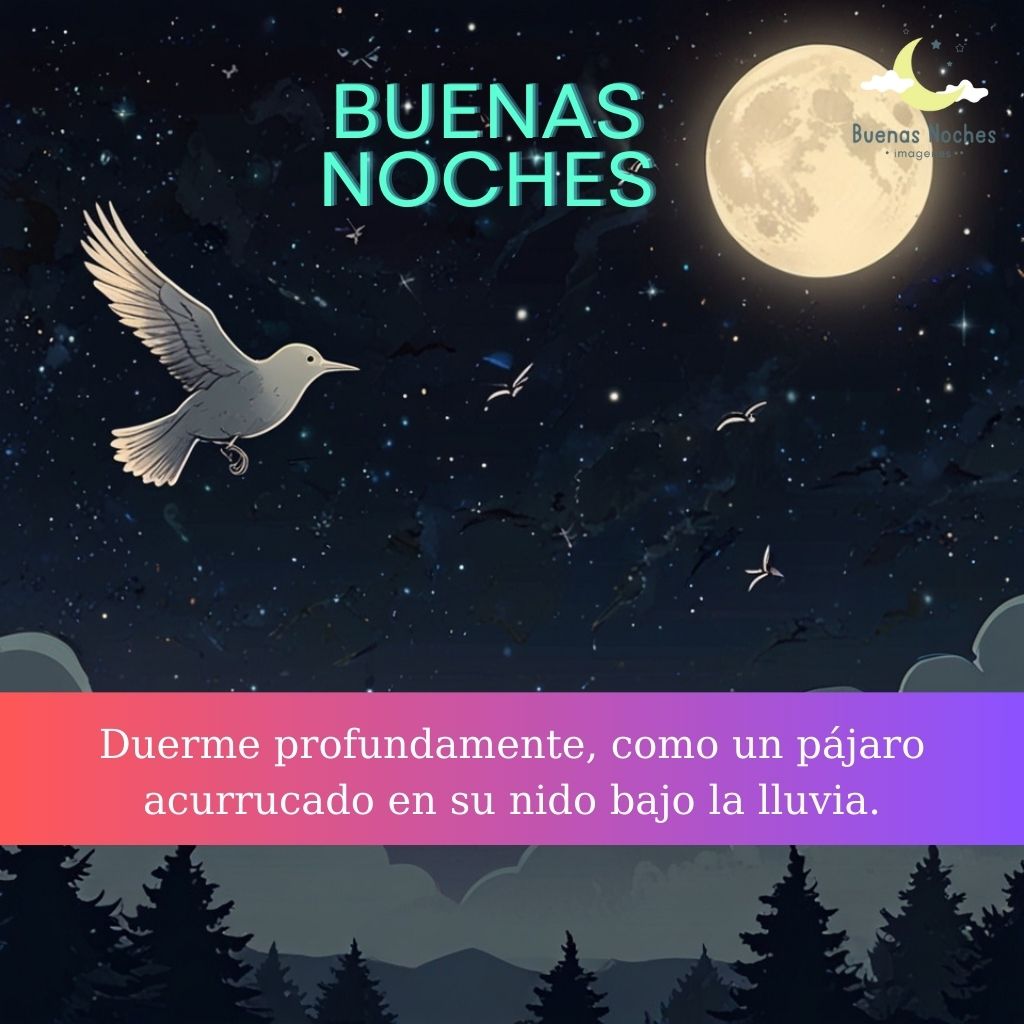 Imagenes de buenas noches con pajaros 34