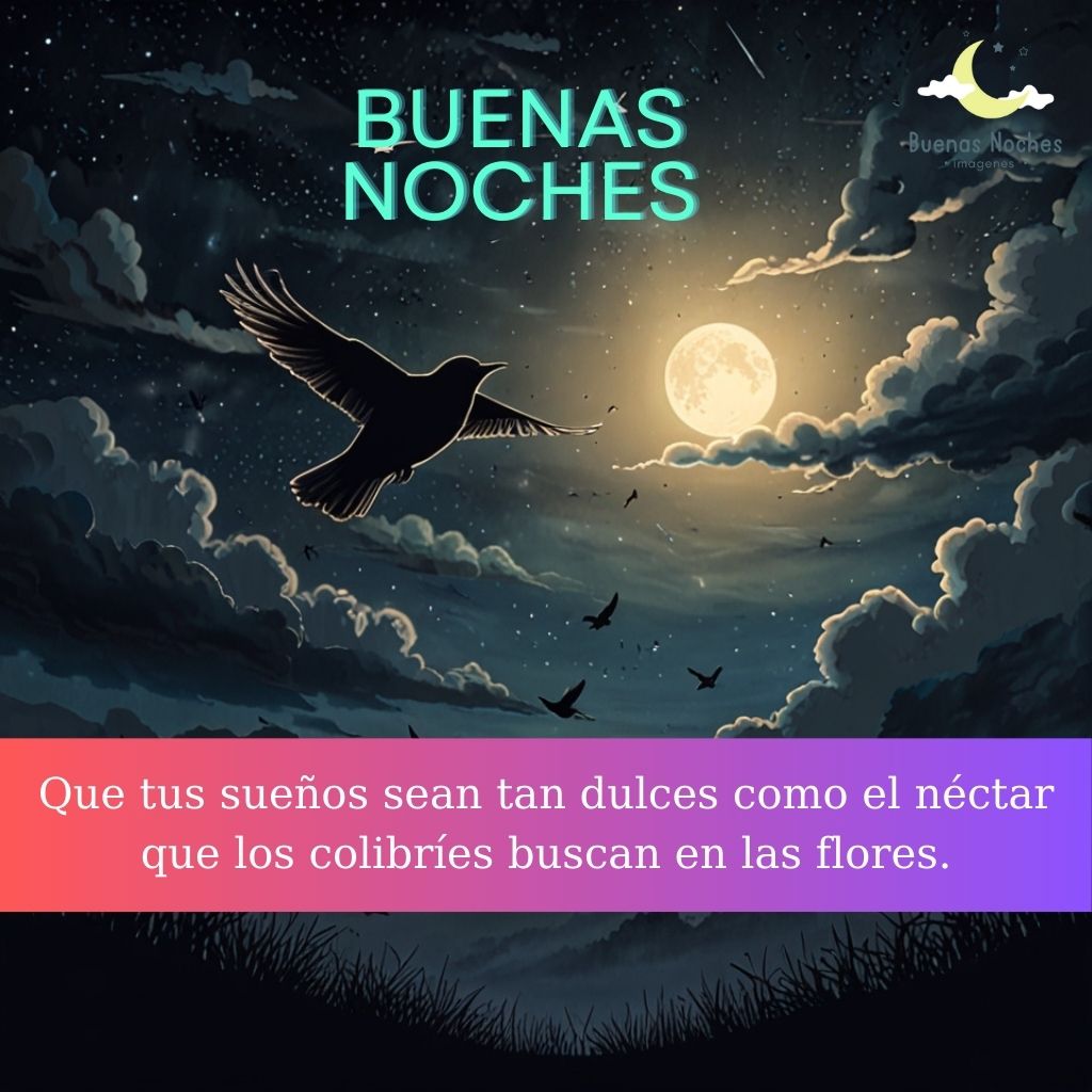 Imagenes de buenas noches con pajaros 36