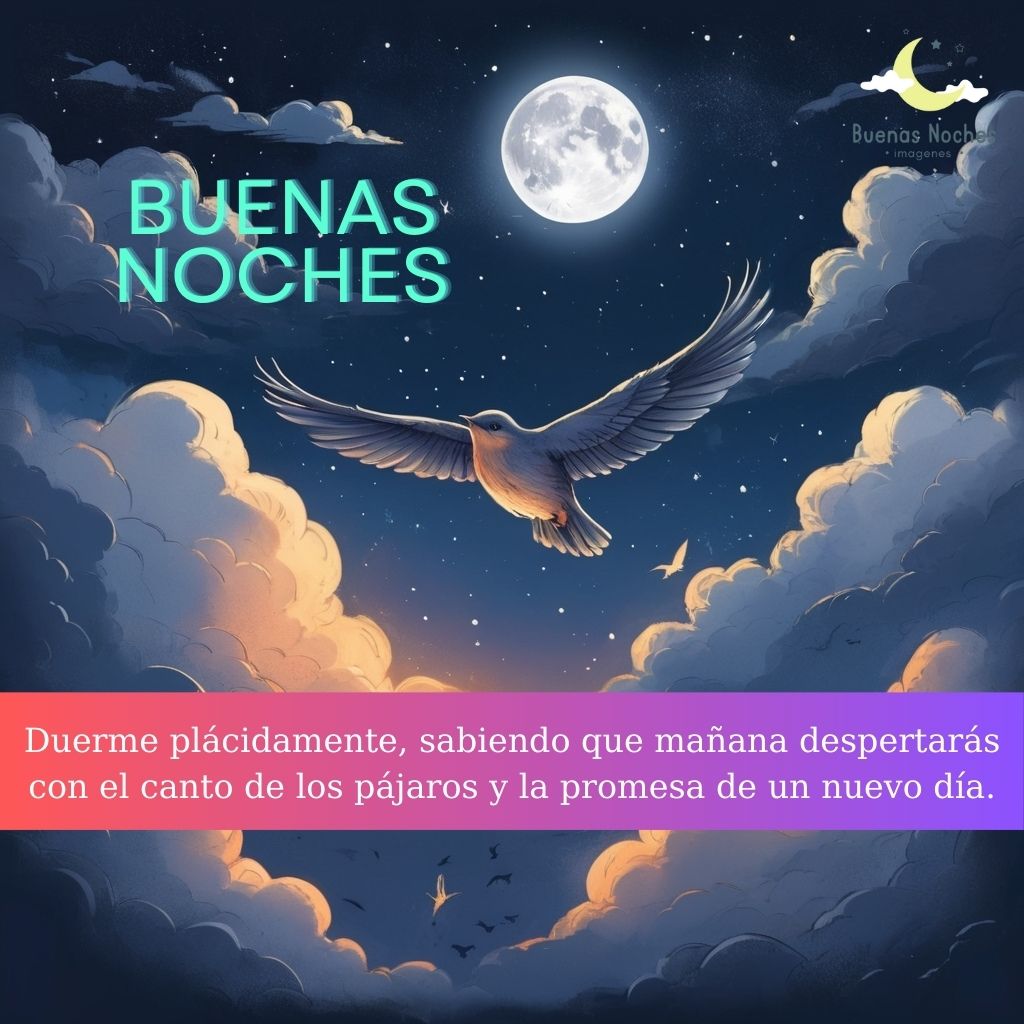 Imagenes de buenas noches con pajaros 38