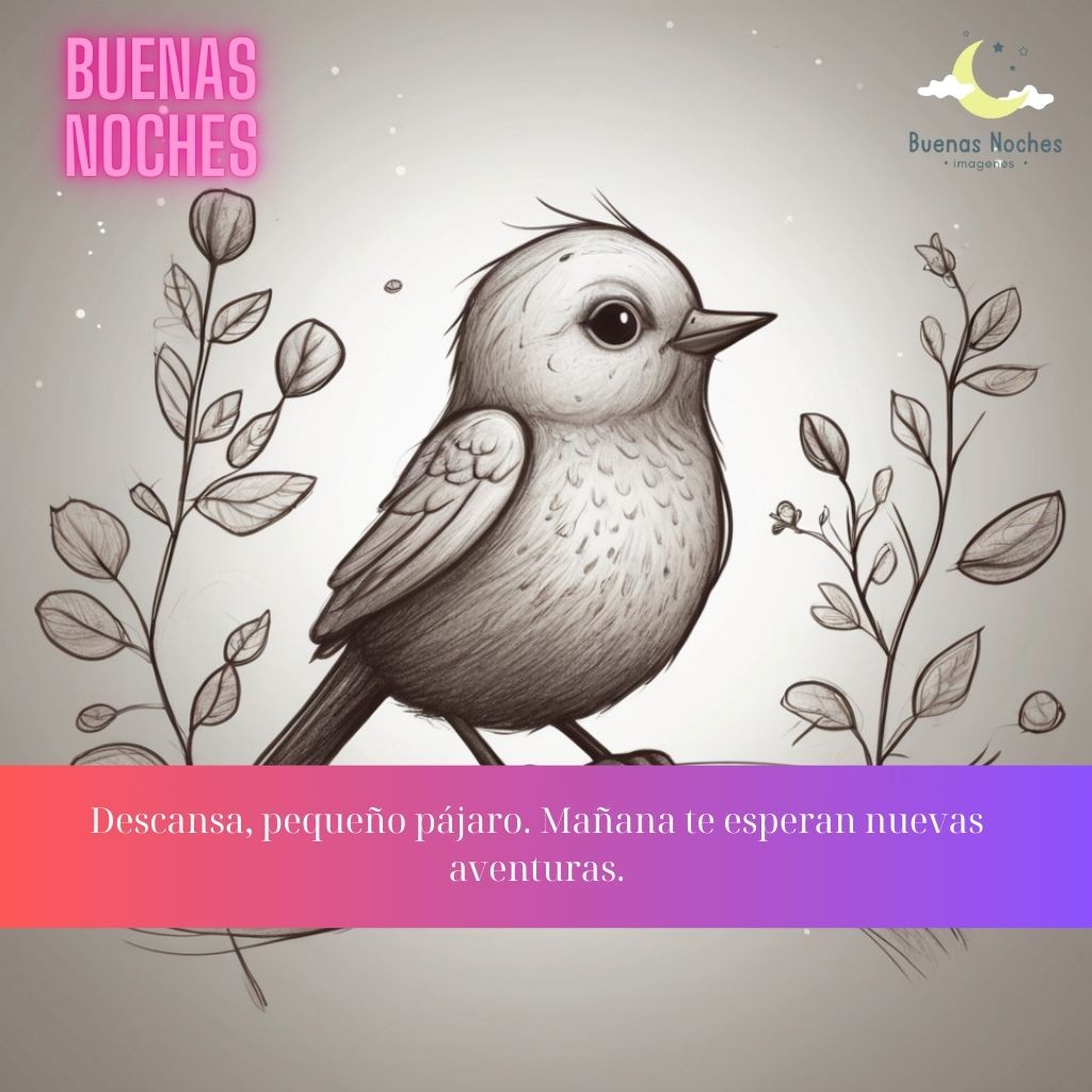 Imagenes de buenas noches con pajaros 4