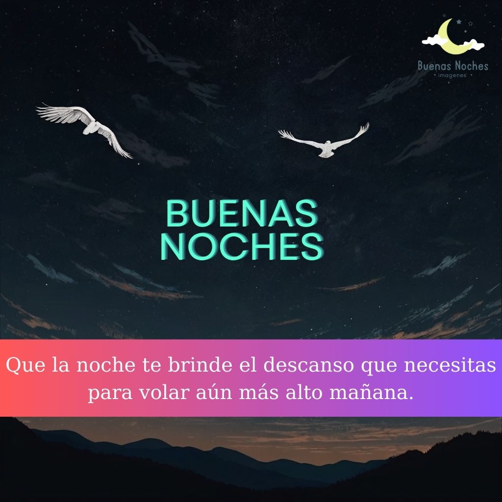 Imagenes de buenas noches con pajaros 40