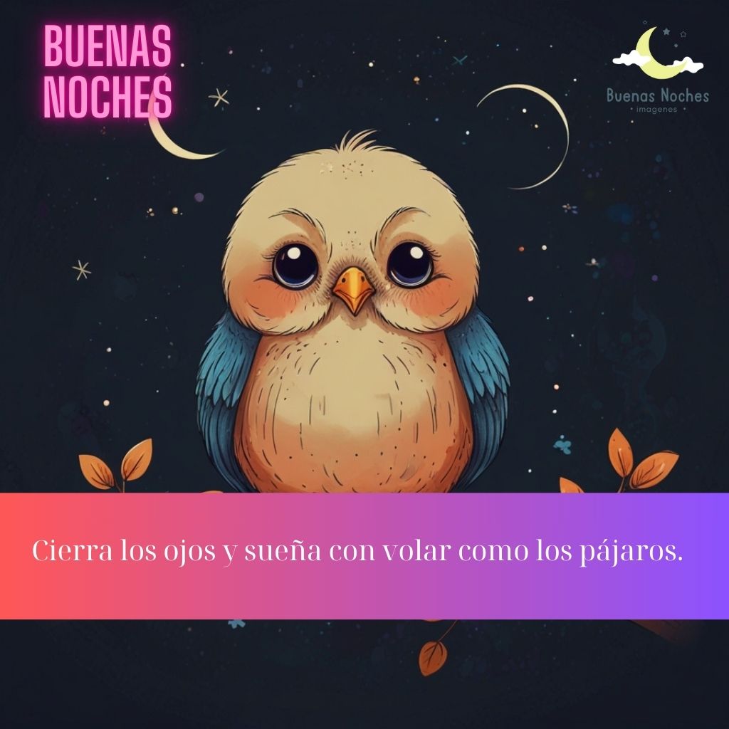 Imagenes de buenas noches con pajaros 5