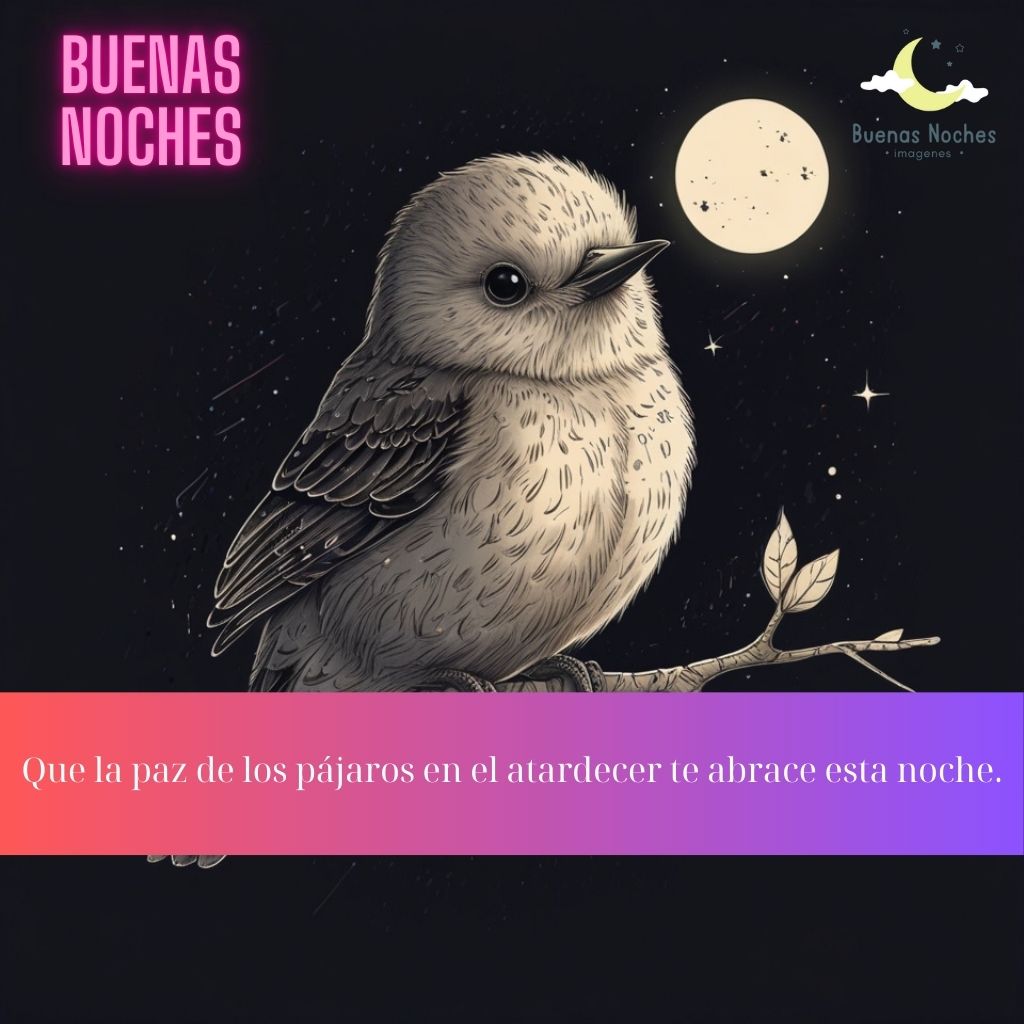 Imagenes de buenas noches con pajaros 6