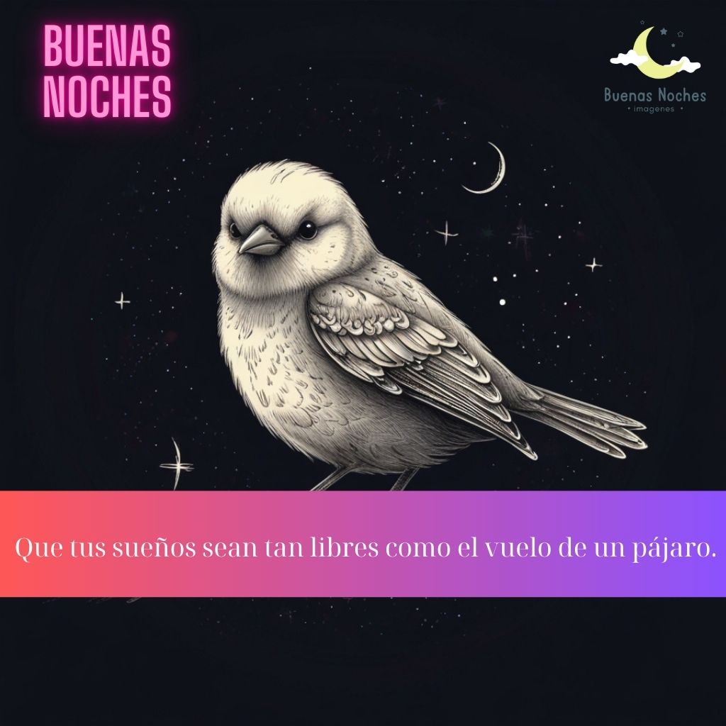 Imagenes de buenas noches con pajaros 7