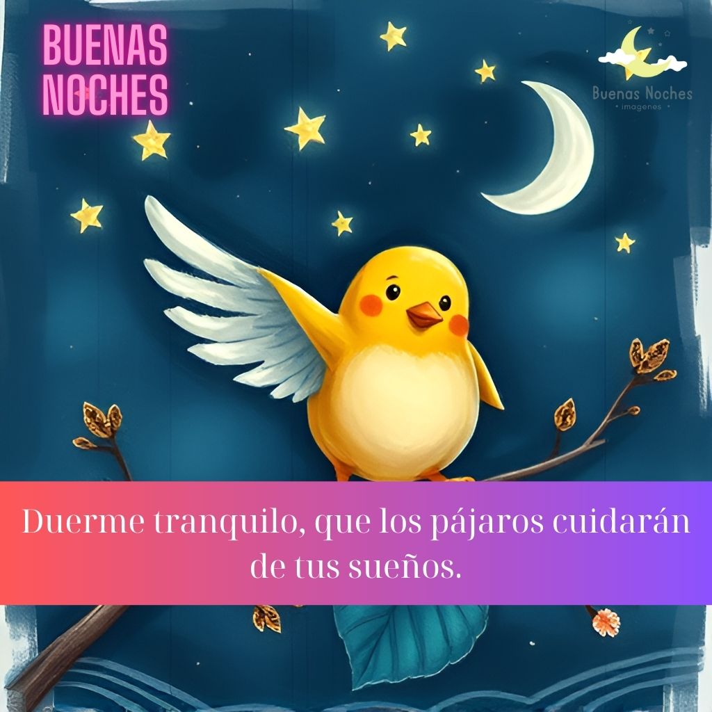 Imagenes de buenas noches con pajaros 8