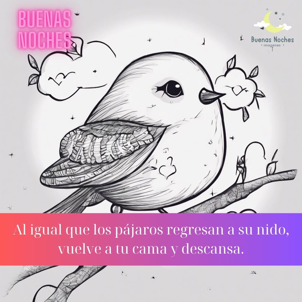 Imagenes de buenas noches con pajaros 9