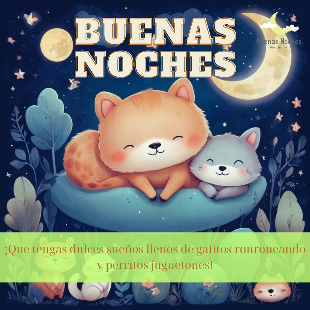 feliz imagenes de buenas noches 102 1