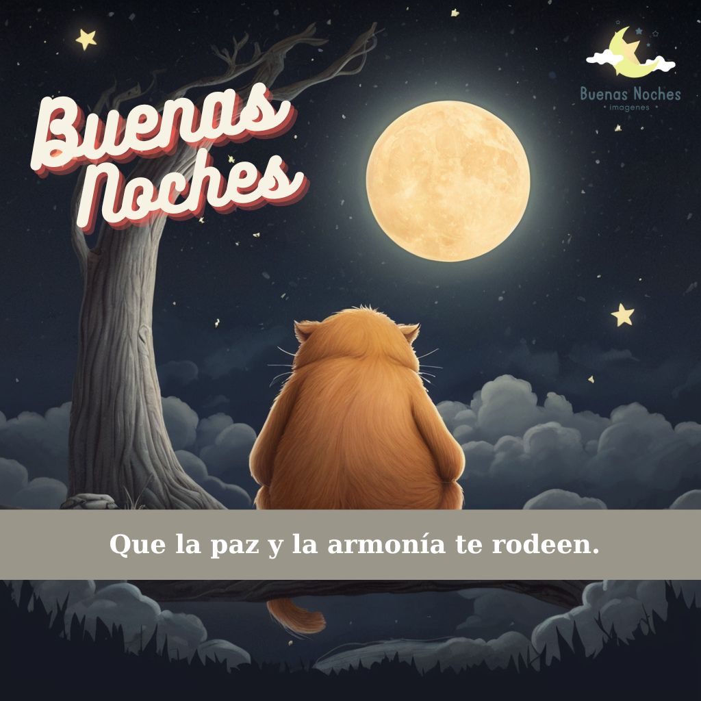 imagenes bonitas de buenas noches con frases de reflexion 15