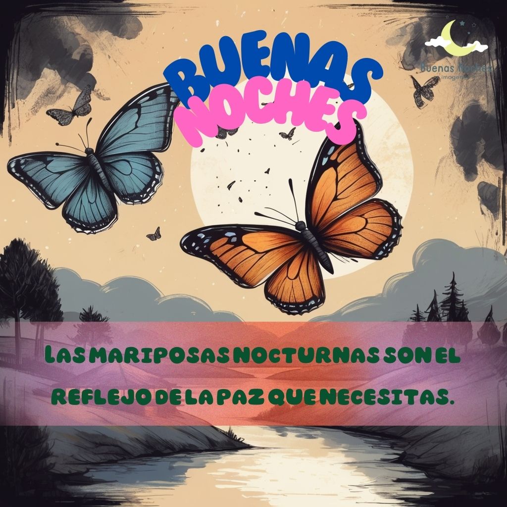 imagenes de buenas noches con mariposas 11