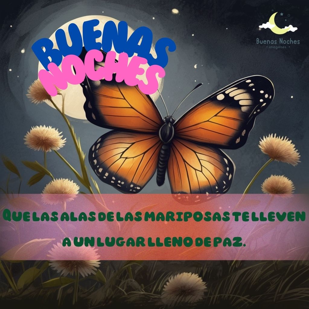 imagenes de buenas noches con mariposas 2