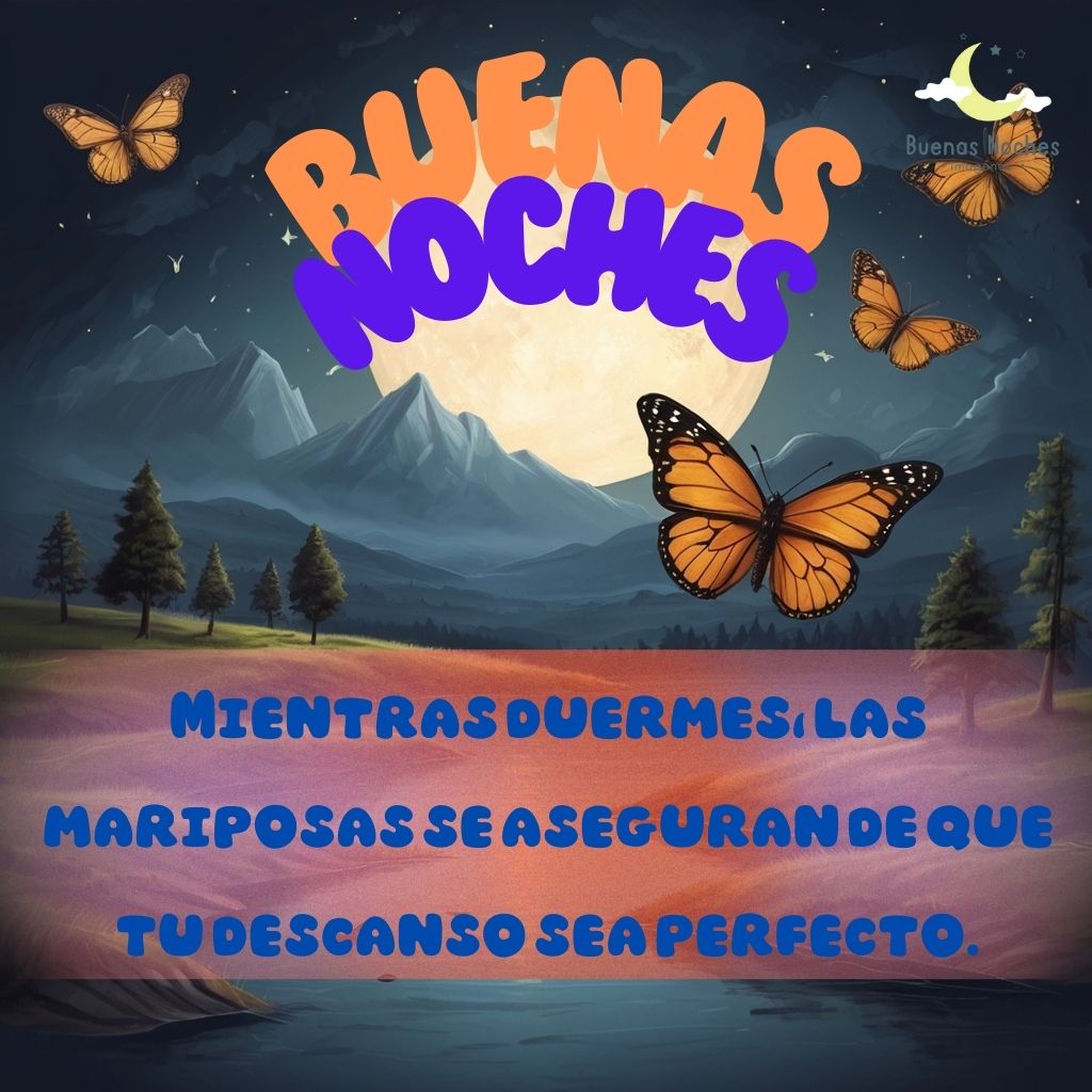 imagenes de buenas noches con mariposas 20