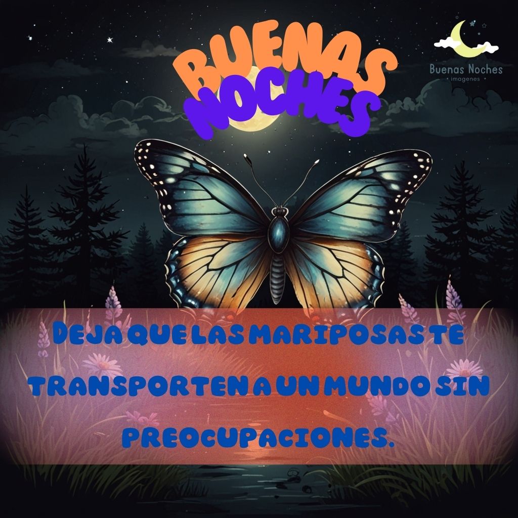 imagenes de buenas noches con mariposas 23