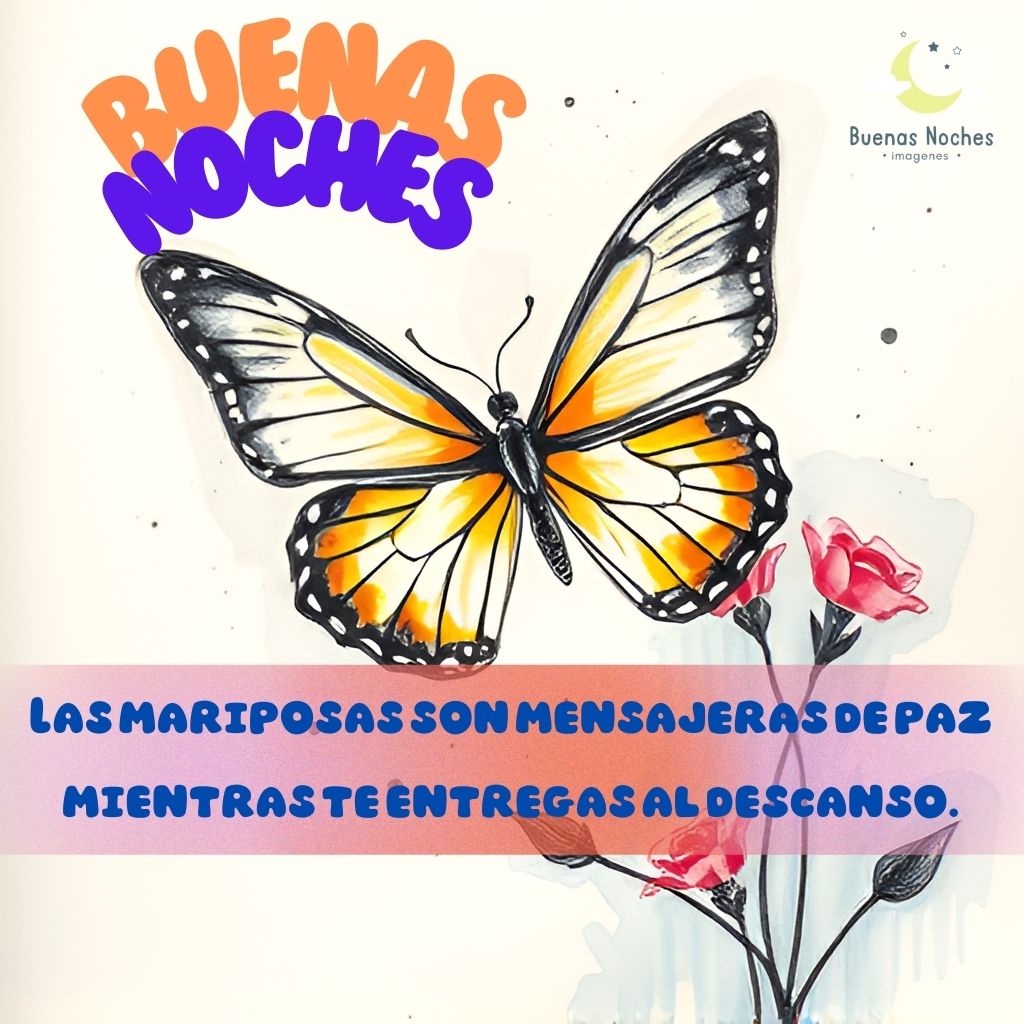 imagenes de buenas noches con mariposas 28