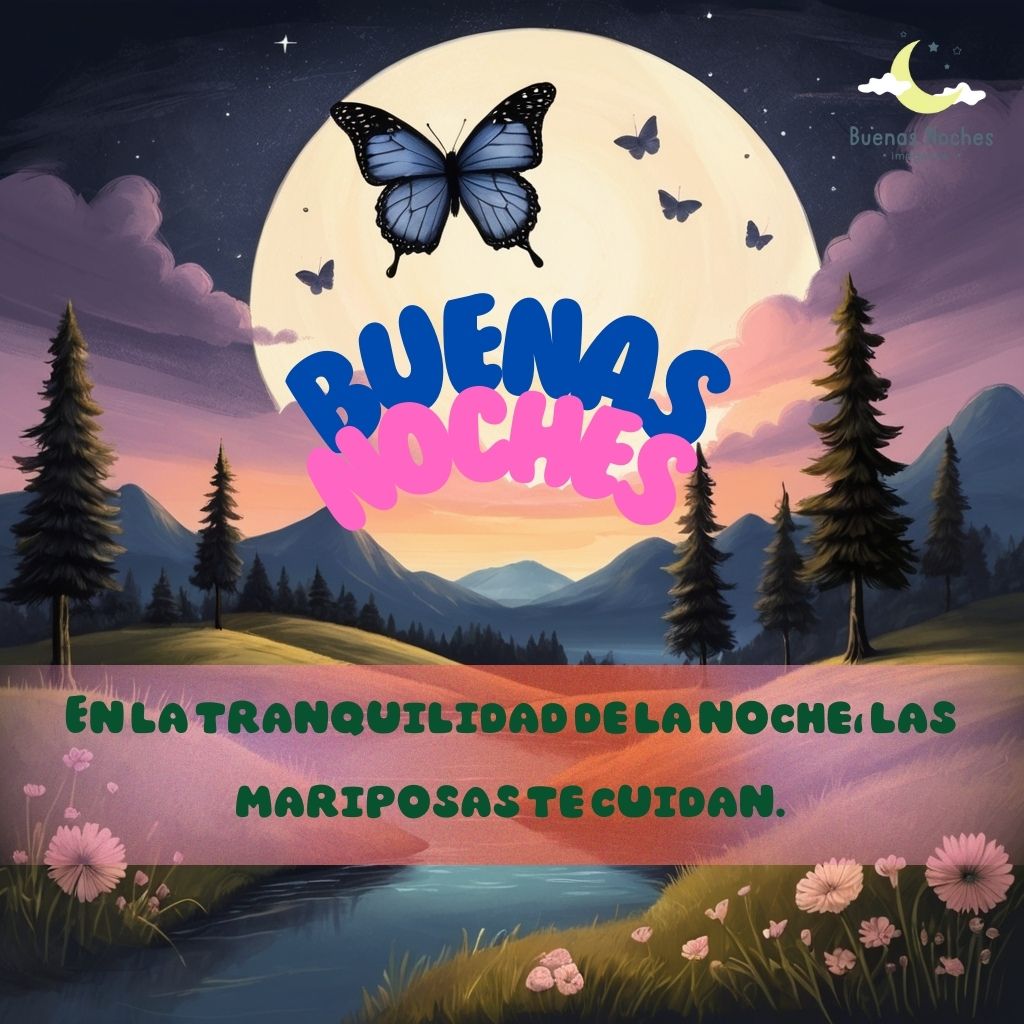 imagenes de buenas noches con mariposas 9