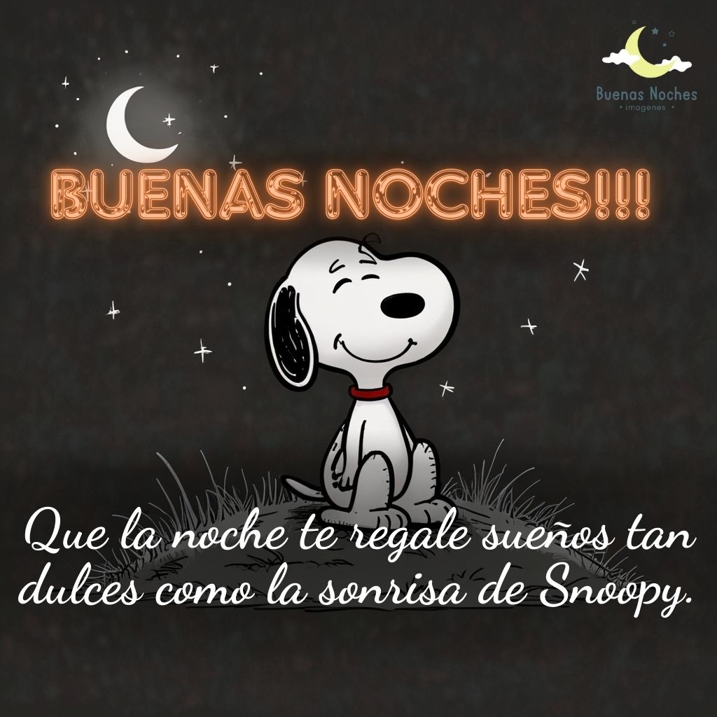 imagenes de buenas noches con snoopy 11