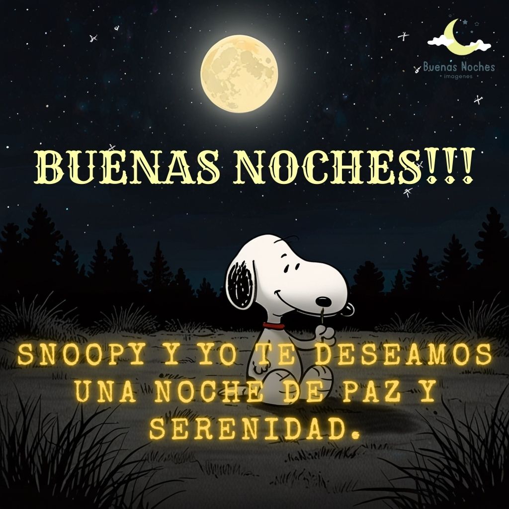 imagenes de buenas noches con snoopy 12