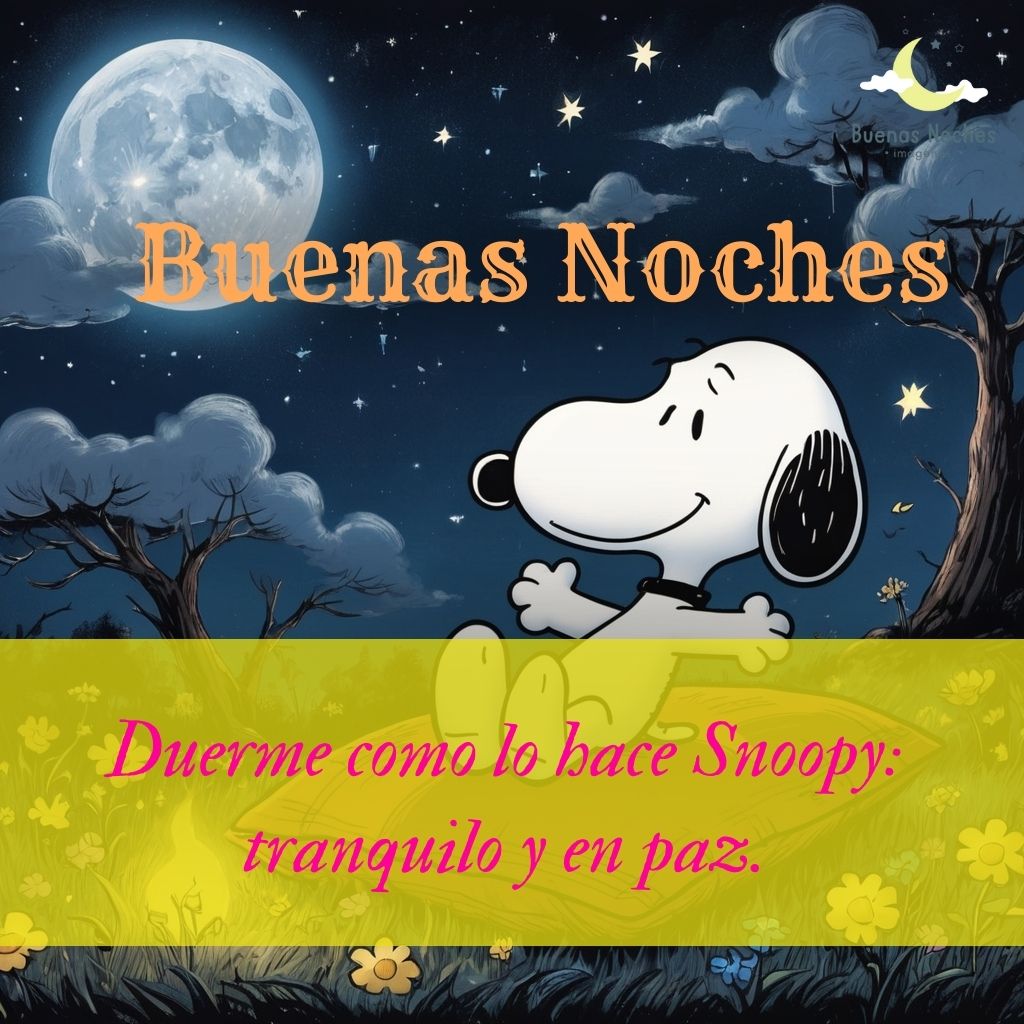 imagenes de buenas noches con snoopy 17