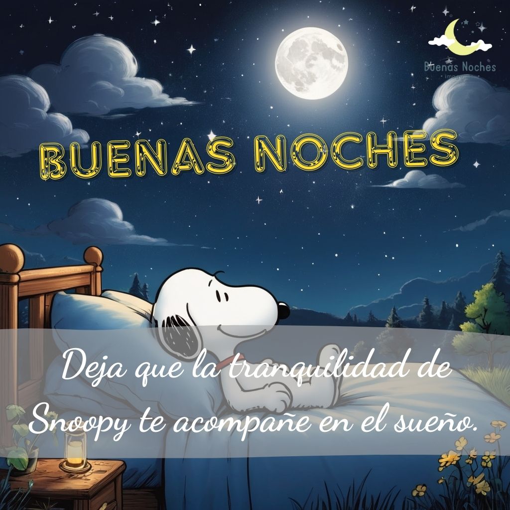 imagenes de buenas noches con snoopy 19