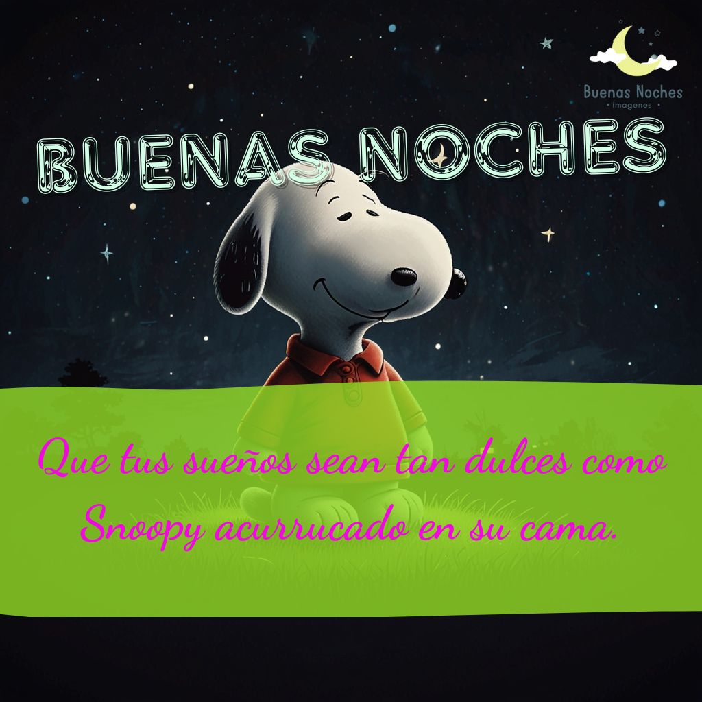 imagenes de buenas noches con snoopy 22