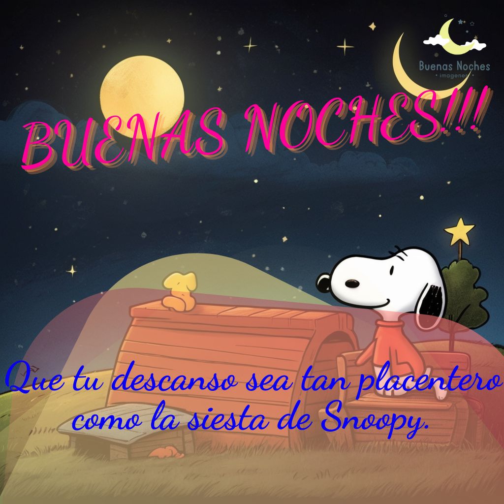 imagenes de buenas noches con snoopy 7