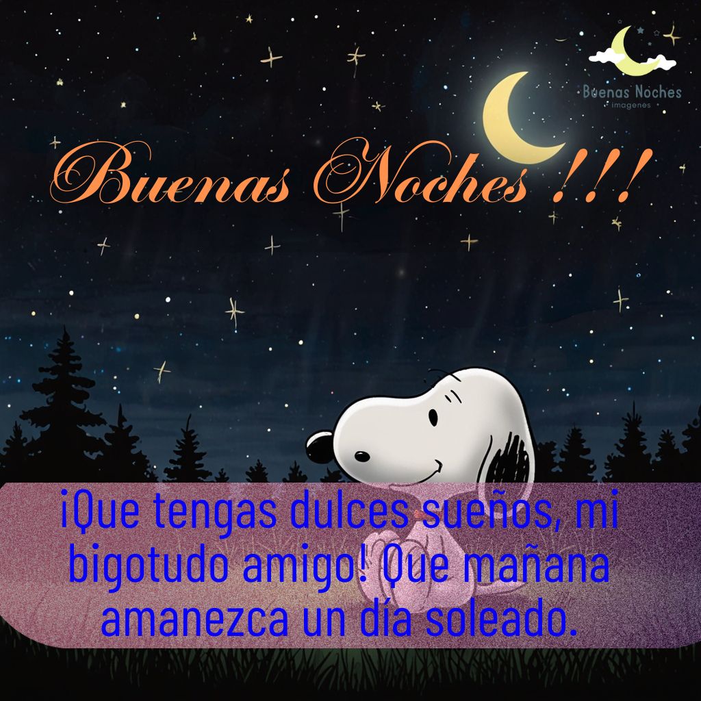 imagenes de buenas noches con snoopy 9