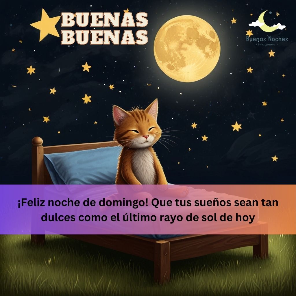 imagenes de buenas noches domingo 11