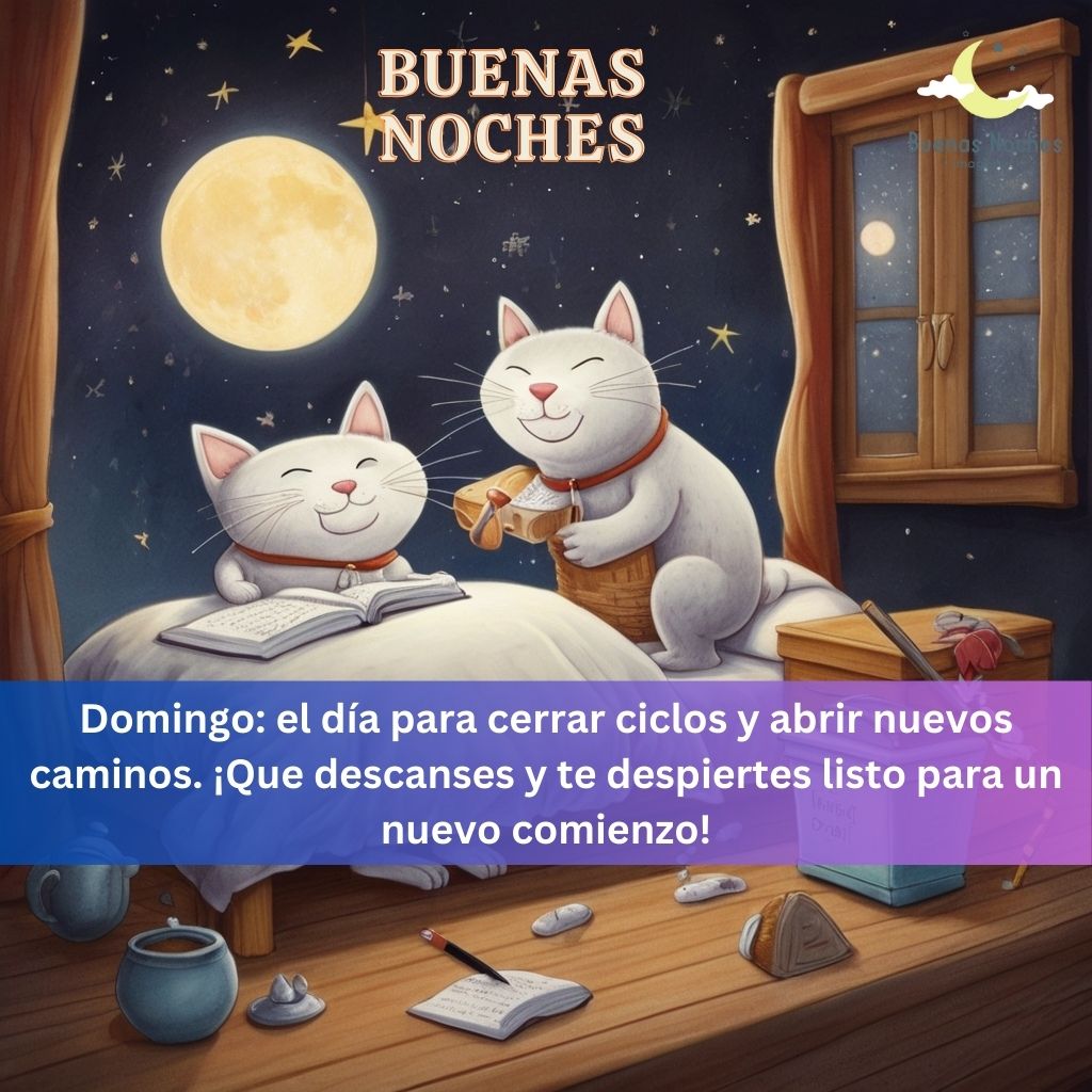 imagenes de buenas noches domingo 16