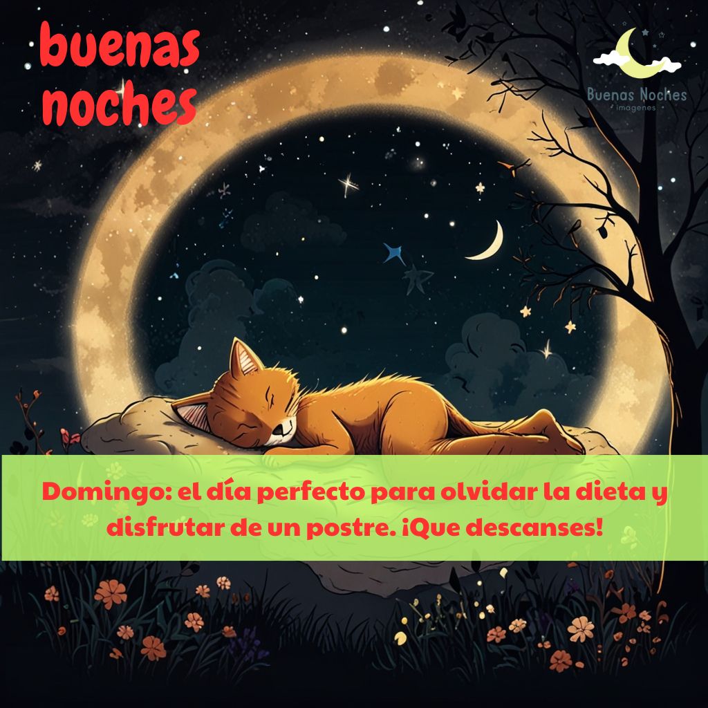 imagenes de buenas noches domingo 22