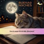 imagenes de buenas noches domingo 34