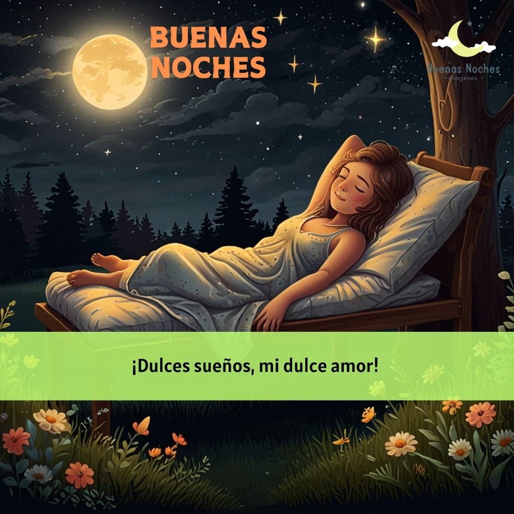 imagenes de buenas noches domingo 35