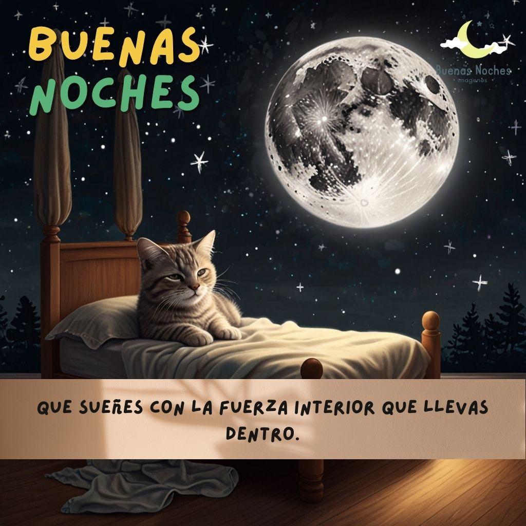 imagenes de buenas noches felices suenos 29