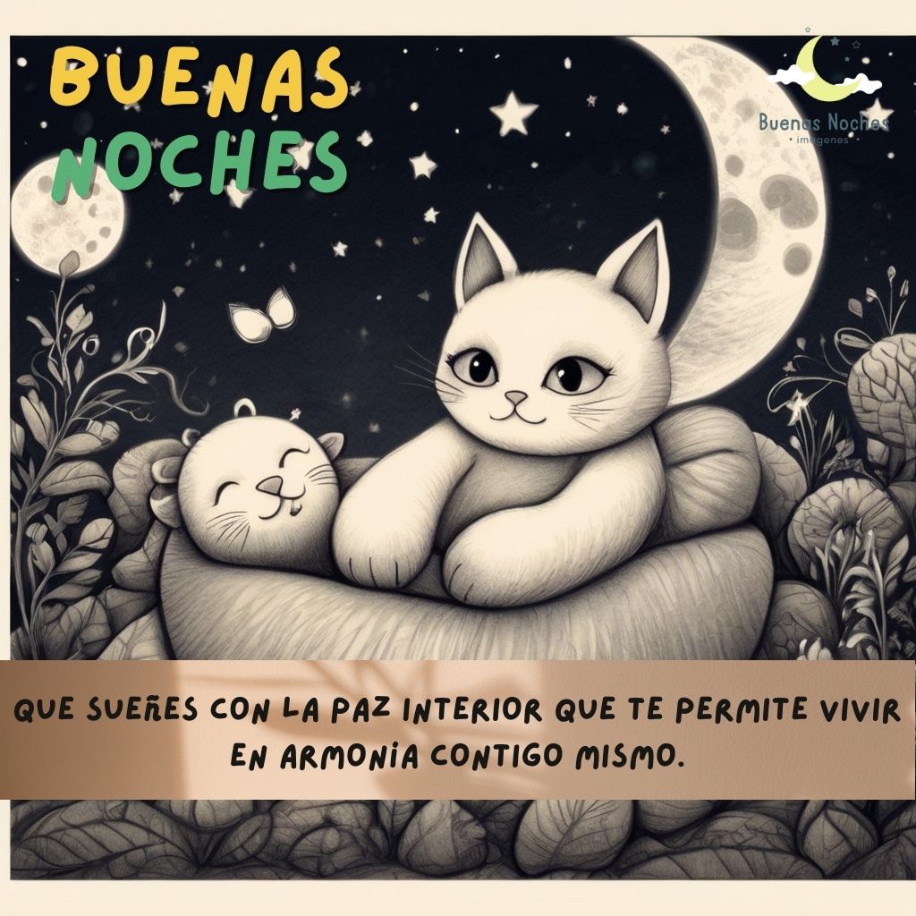 imagenes de buenas noches felices suenos 41