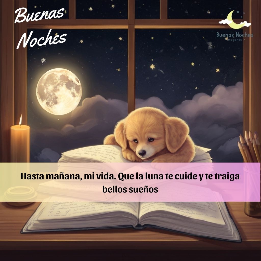 imagenes de buenas noches fin semana 13