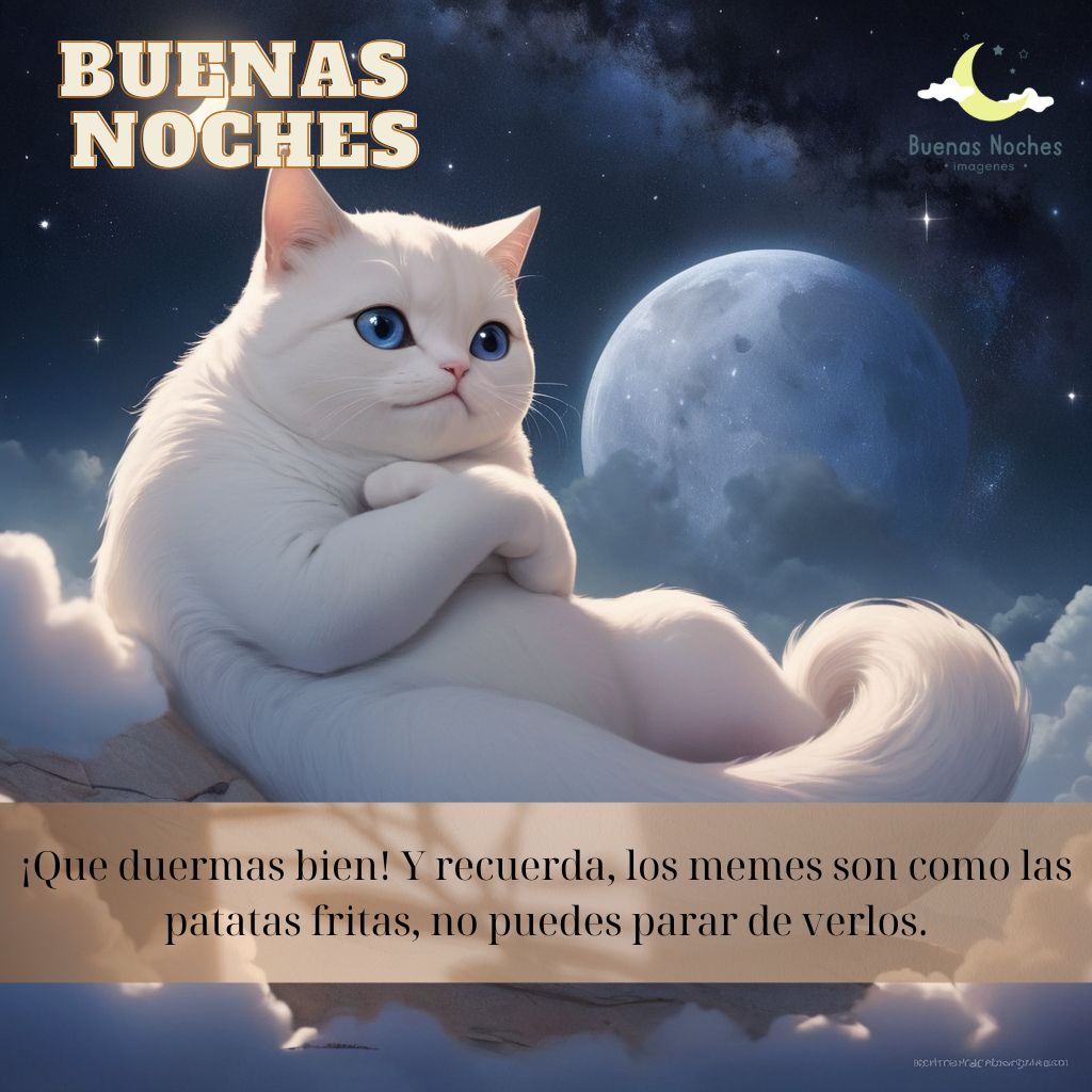 imagenes de buenas noches graciosas 55